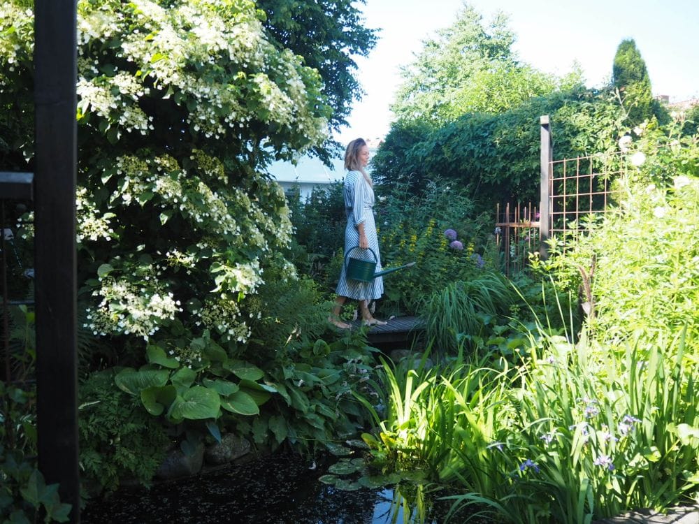 En passion for haverum Livsnyderhaven